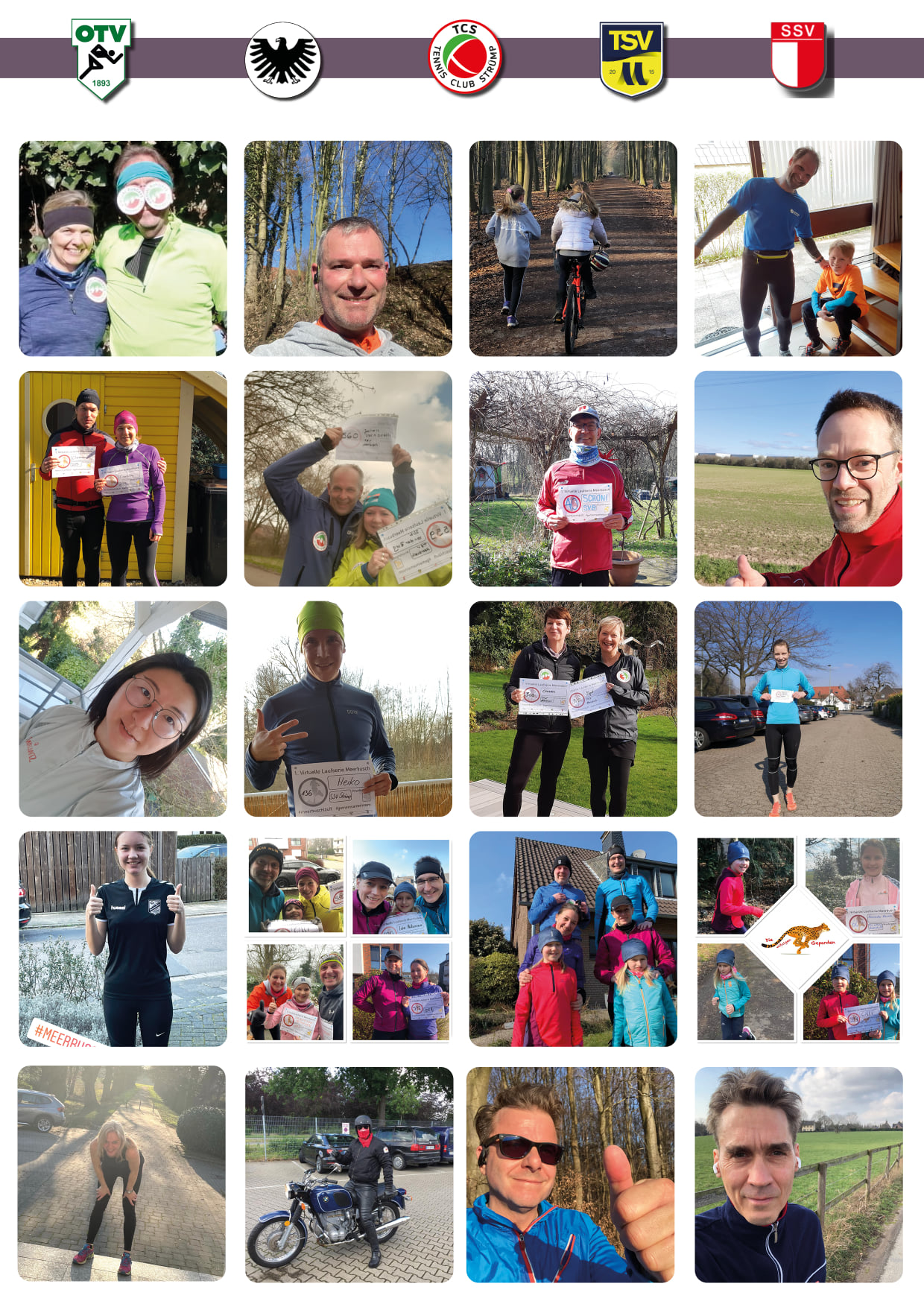 Collage2